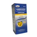 AMBRONX Ambroxol Syrup 15mg/60ml